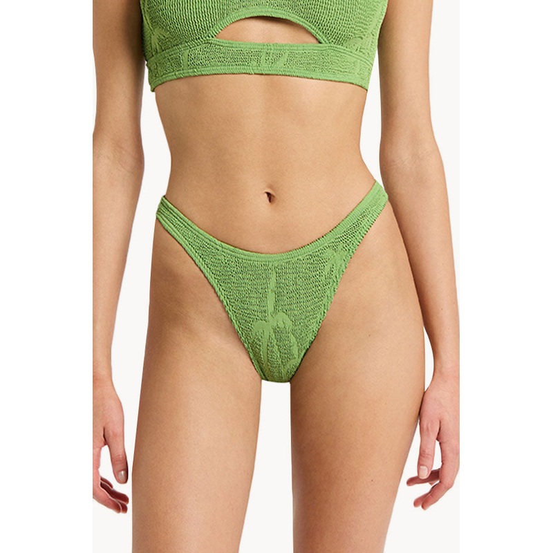 Palm Scene Brief