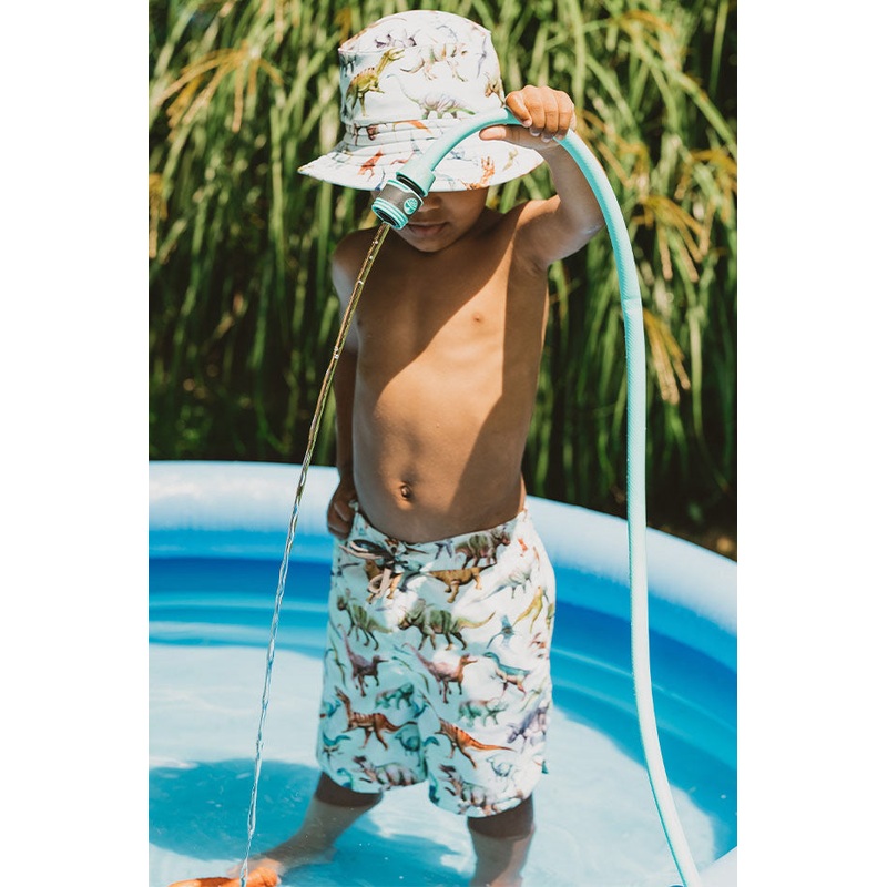 Boys Rex Boardshort