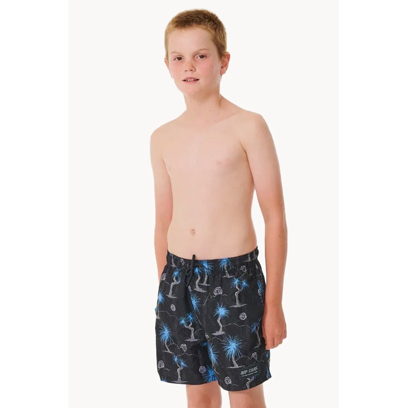 Boys Shred Rock Volley Boardshort