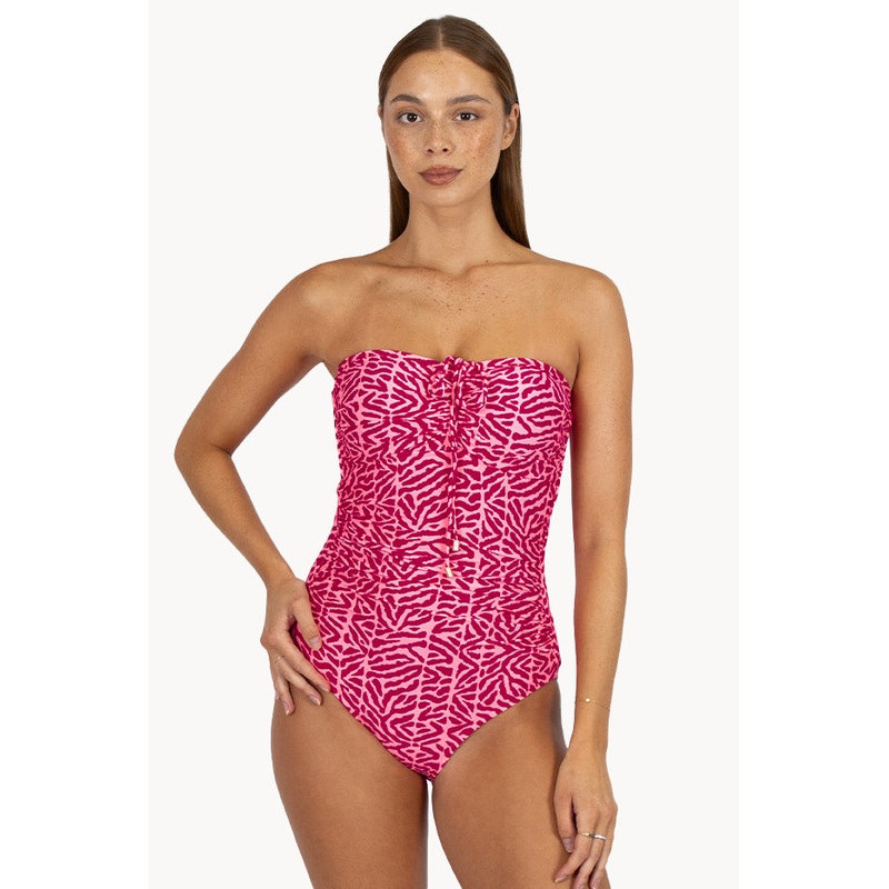 Wild Coast Bandeau One Piece