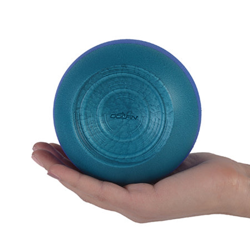 DOLFIN Kickball