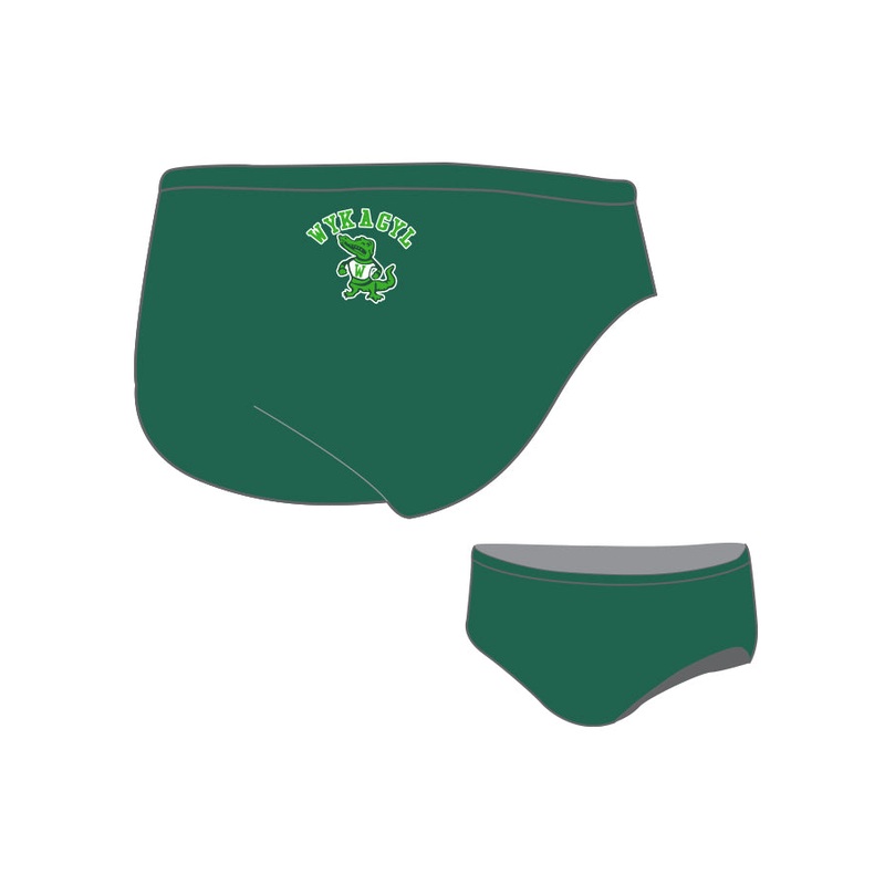 Carroll County_DOLFIN Men's Poly Team Solid Chloroban Solid Racer