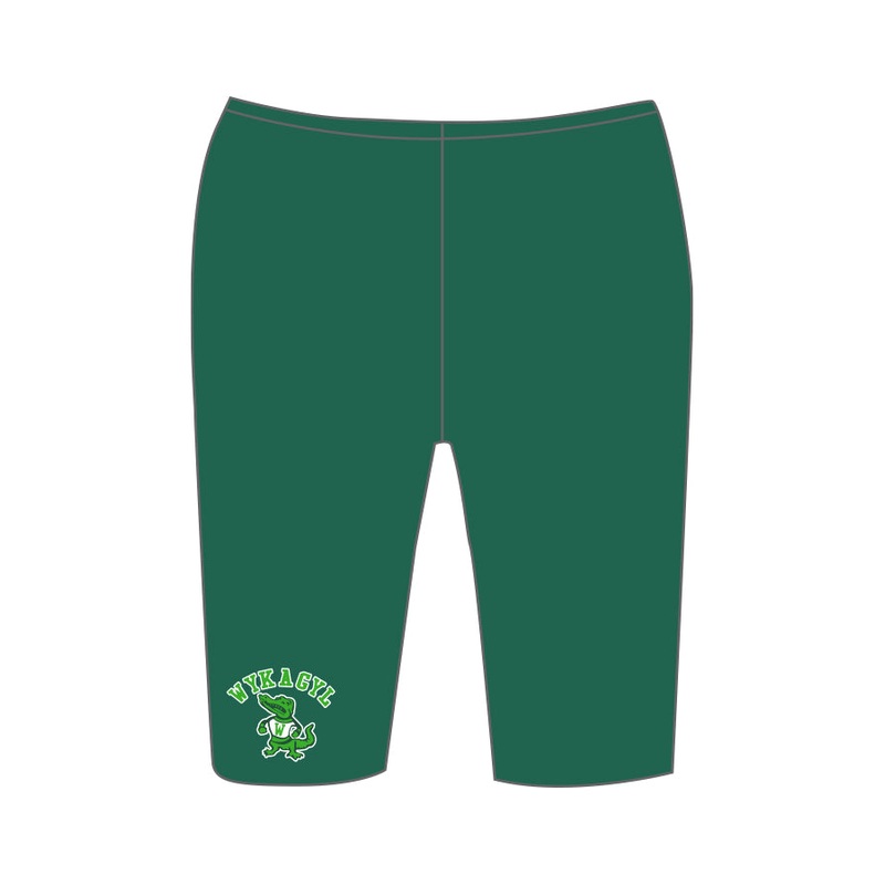 Carroll County_DOLFIN Men's Reliance Team Solid Jammer