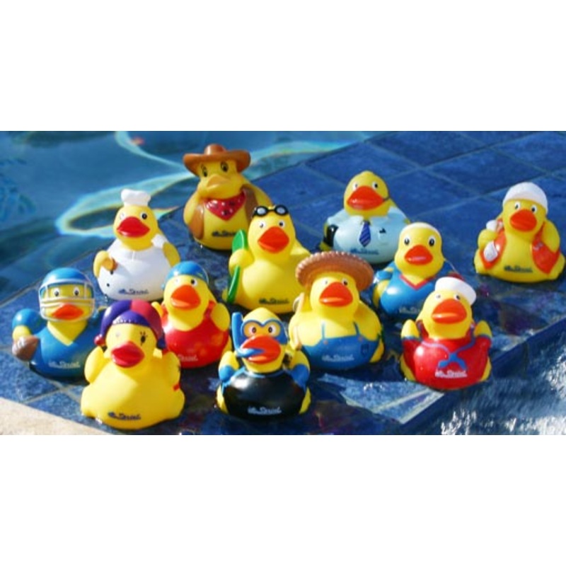 SPRINT Career Ducks