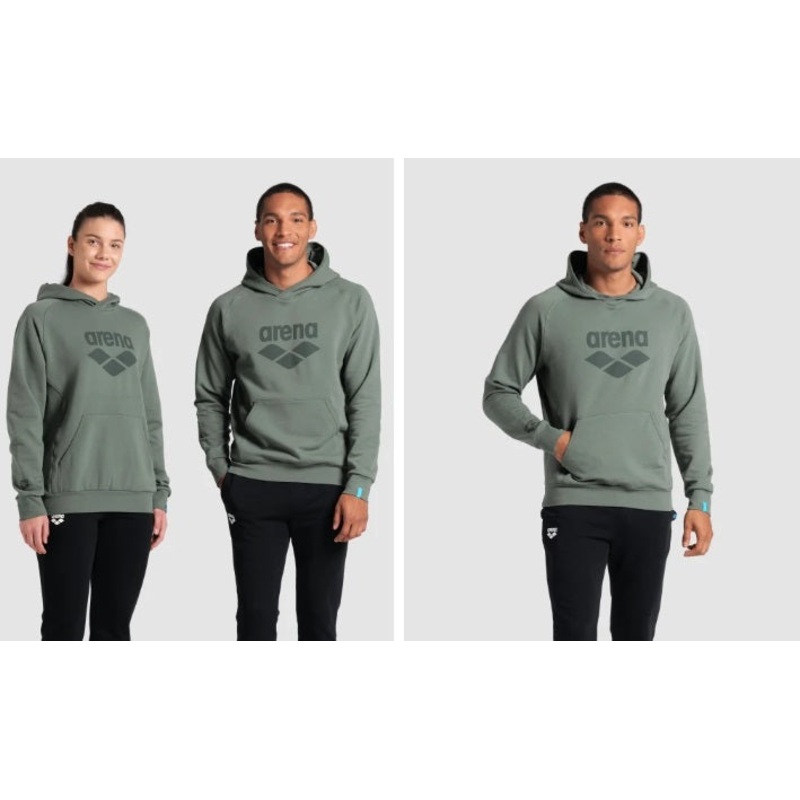 ARENA Hooded Sweat Logo